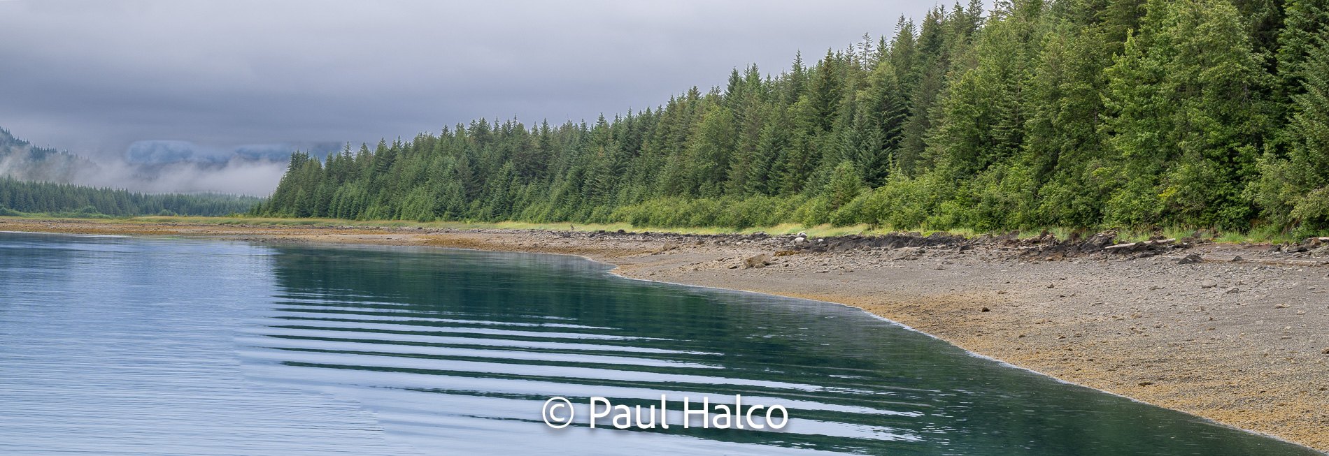 Paul Halco - Glacier Bay NP-14